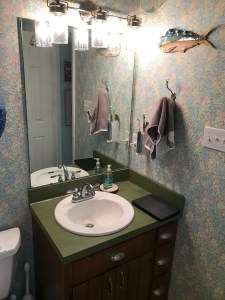 Primary Painting Project Management Master Bathroom Before