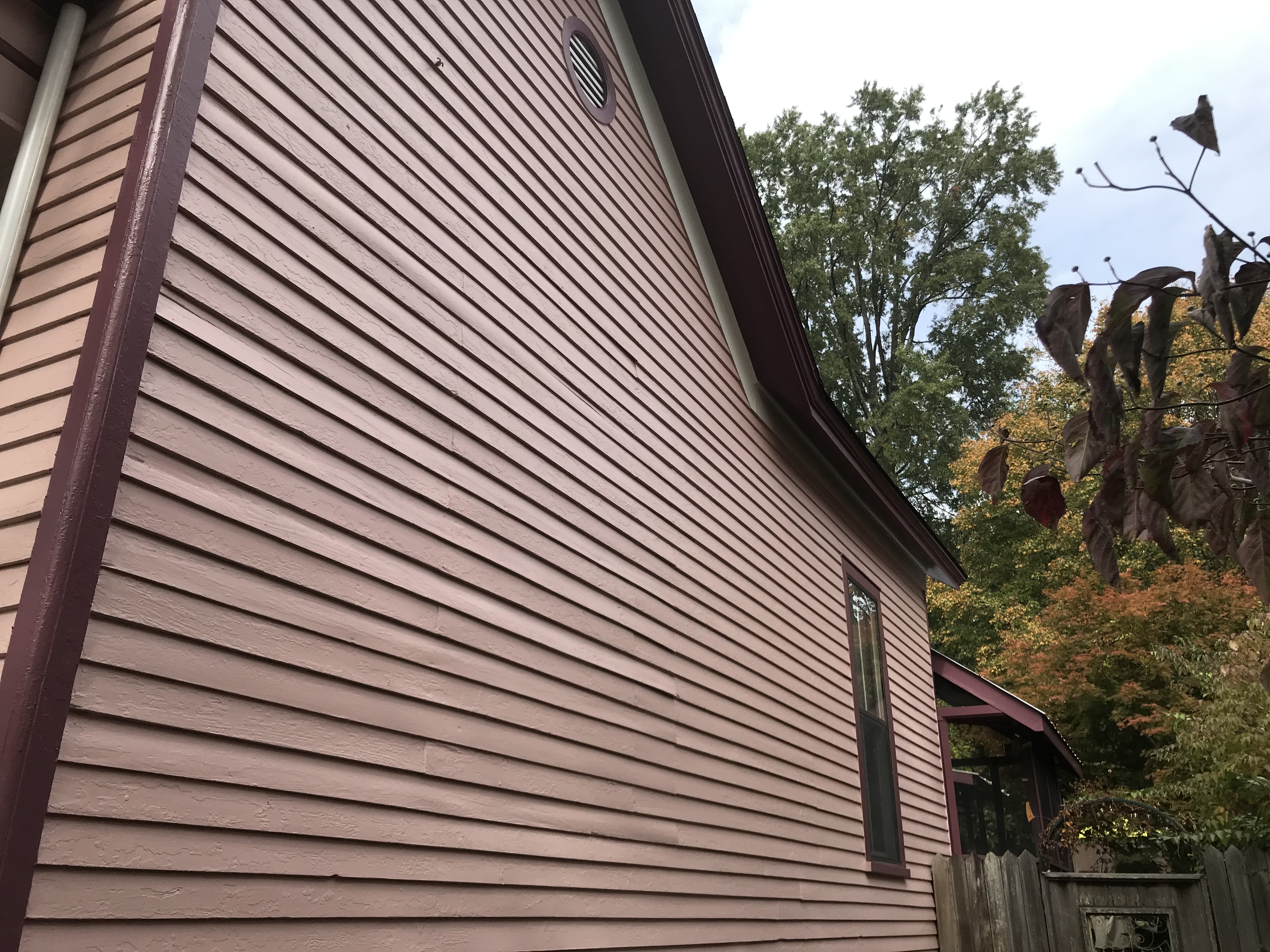 primary painting after23