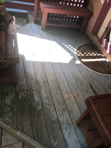 primary painting before11