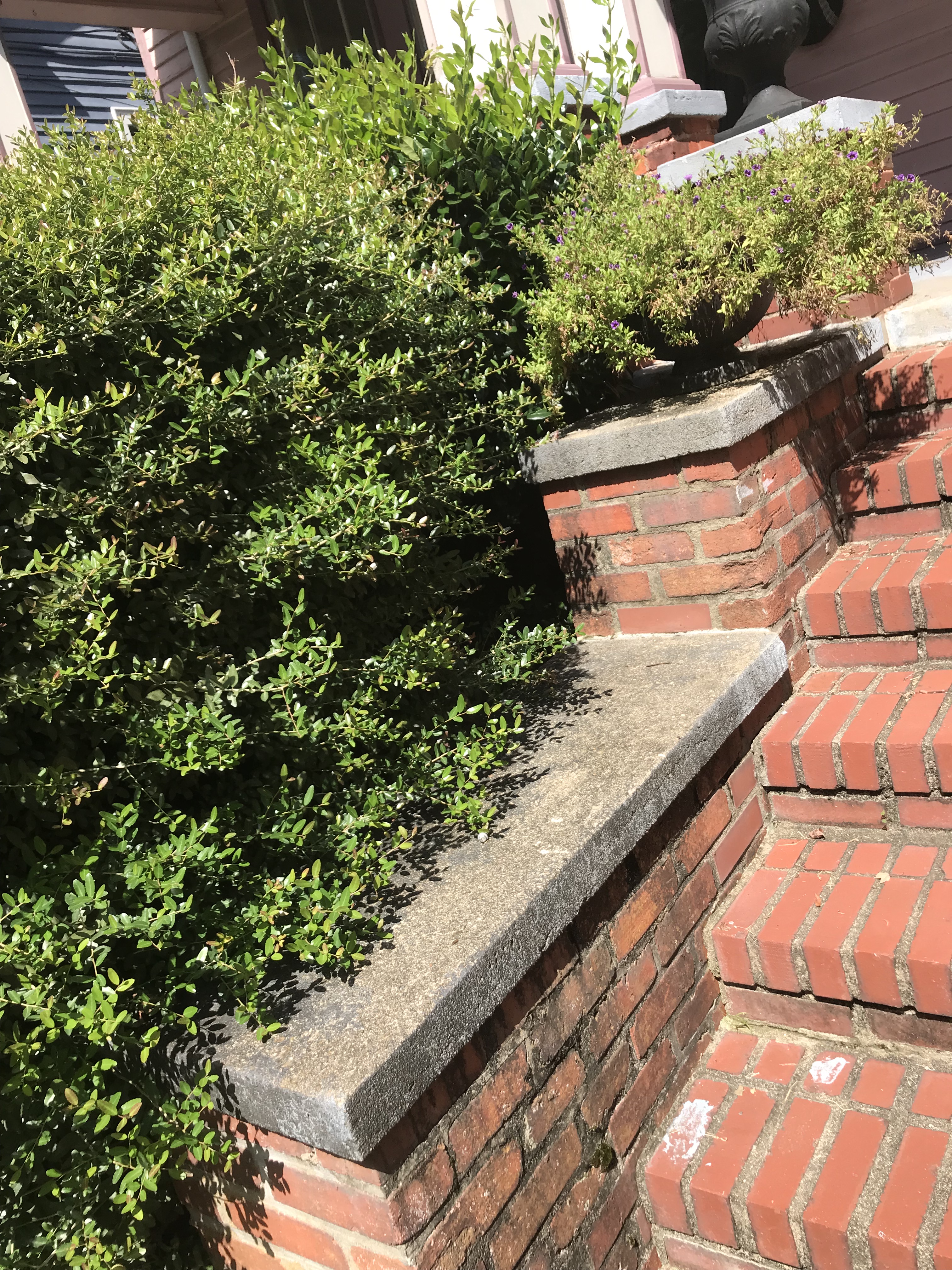 primary painting before5