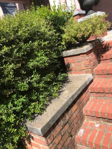 primary painting before5