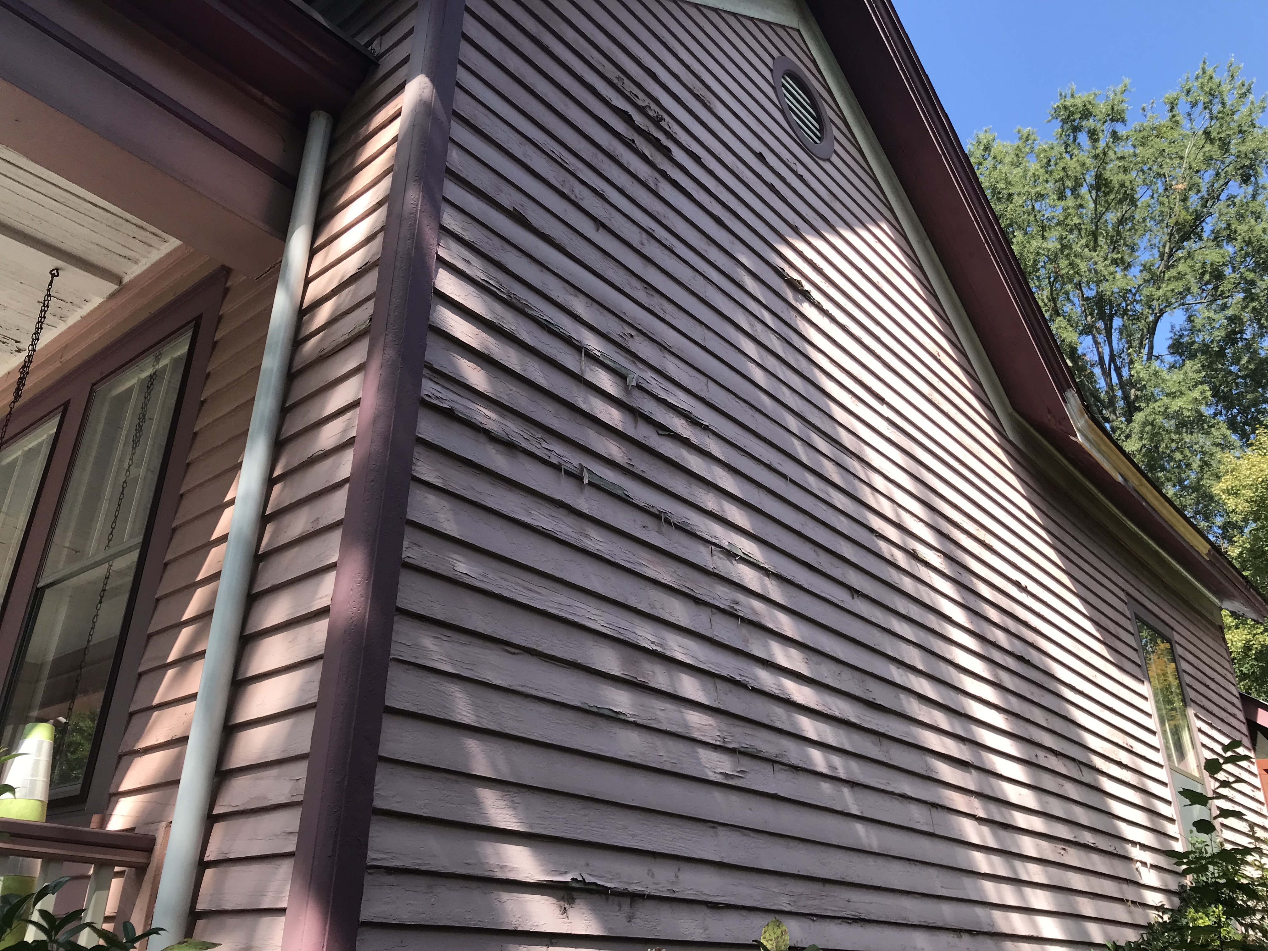 primary painting before7